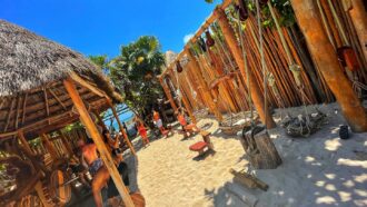 tulum infected by czech virus gym