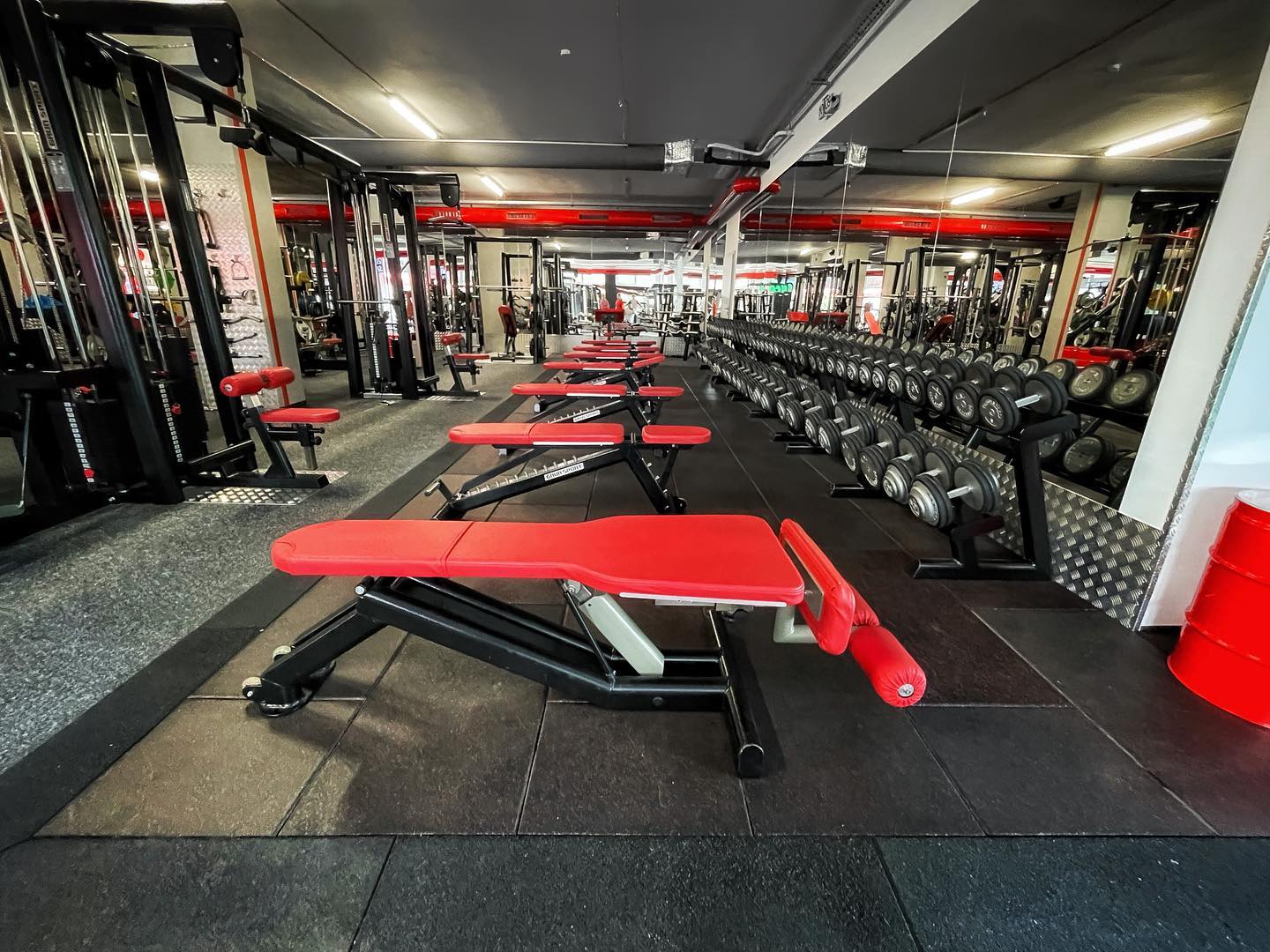gym podlaha new virus