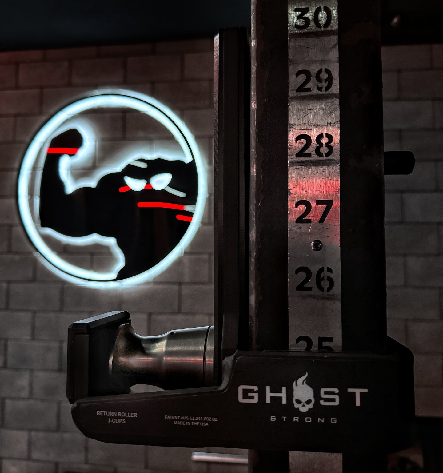 ghost rogue czech virus gym