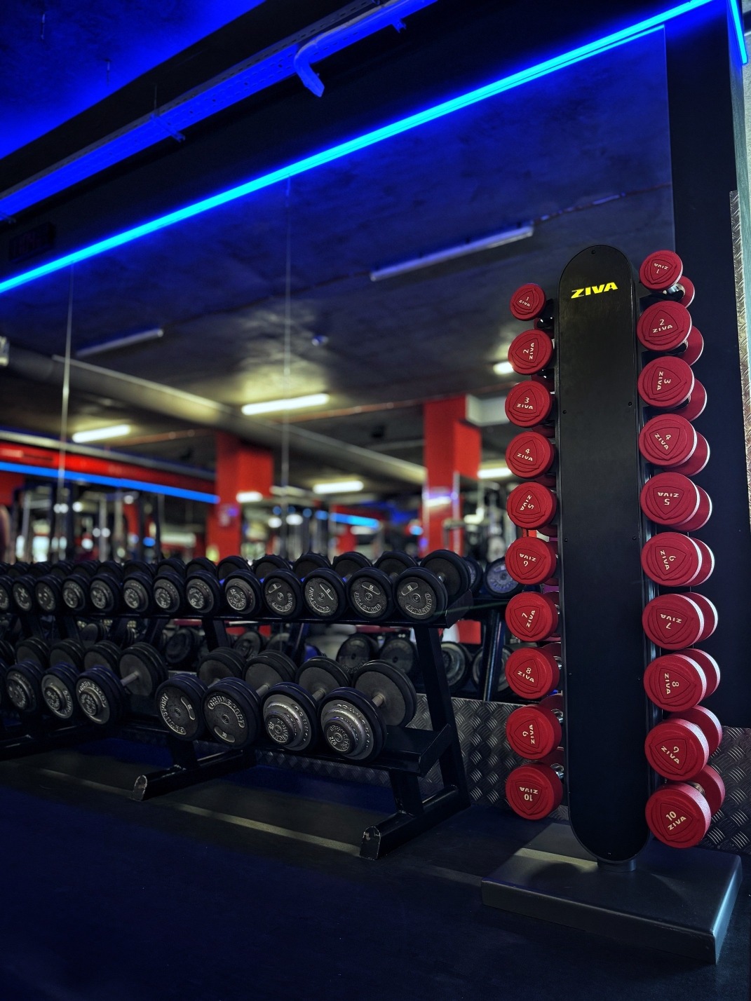 Gym a Kometa jsou blue