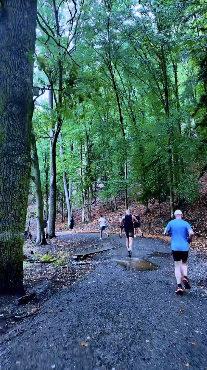 Vokolo priglu, CZECH virus gym, Easy run